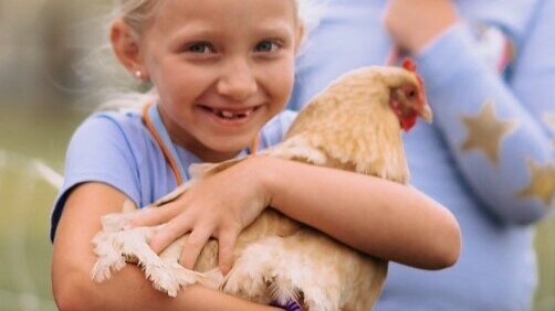 Child holding a chicken
