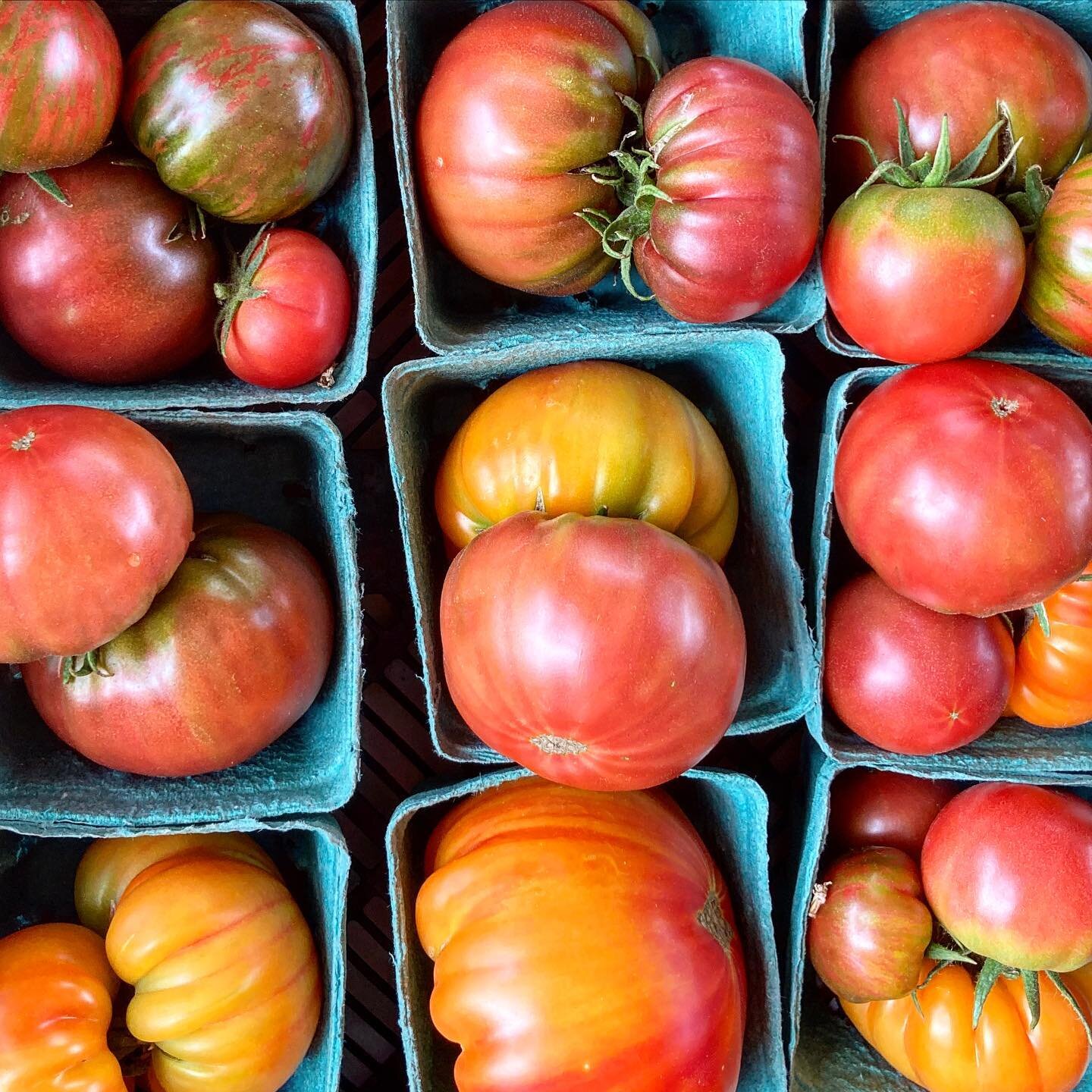 We grow a wide variety of tomatoes here. Yellow, orange, purple, pink, and even a few red. And yes, they do taste different! In general, the lighter color tomatoes (yellow and orange) are less acidic and more mild in flavor. The darker tomatoes (purp