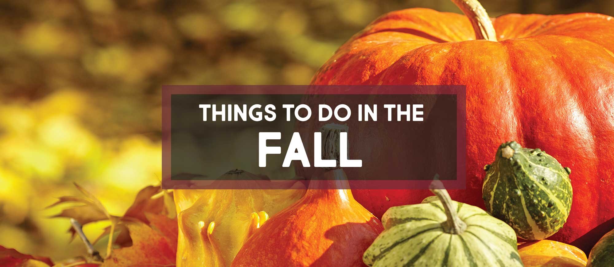 thing-to-do-in-the-fall.jpg