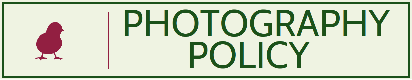 Photography Policy link